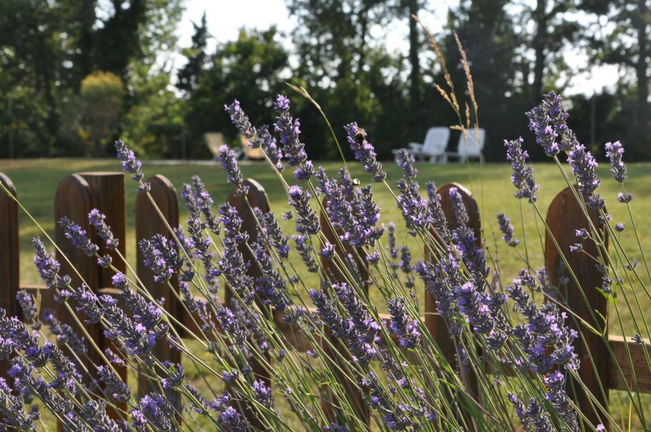 Agriturismo Testalepre Greve in Chianti Εξωτερικό φωτογραφία
